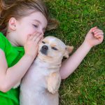 Young beautiful couple with dog sitting on the sofa at new home around cardboard boxes