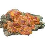 Gem-Realgar